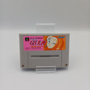 SFCソフト|BANALEX