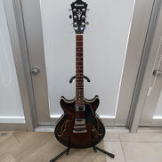 ホロウボディ|IBANEZ