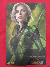 アベンジャーズ　フィギュア|HOTTOYS