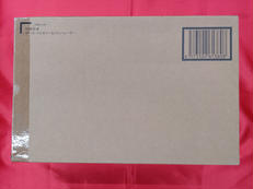 VF-10バルキリー　ファン・レーサー|BANDAI