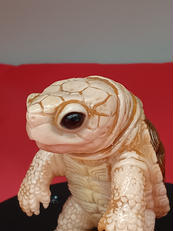 カメンゴA|タケピコ/ONEUP