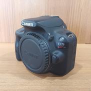 一眼カメラ|CANON