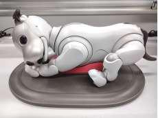 その他おもちゃ・雑貨類|SONY