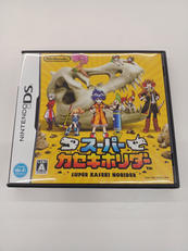 DSソフト|NINTENDO / 任天堂