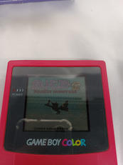 ポケットモンスター金