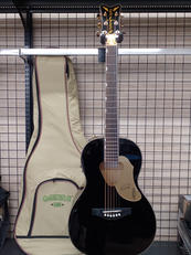 エレアコ|GRETSCH