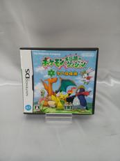 DSソフト|NINTENDO