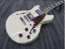 ホロウボディ|D'ANGELICO