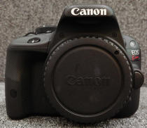 デジタル一眼レフカメラボディ|CANON
