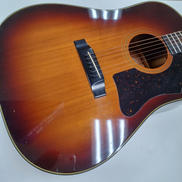 MORRIS　WG-25|MORRIS