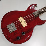 Caldinal Series CSB-380|ARIAPROⅡ