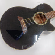 Takamine PT-106|TAKAMINE