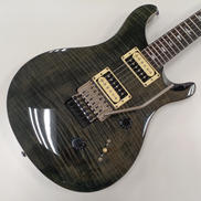 PRS SE CUSTOM24 FLOYD|PRS