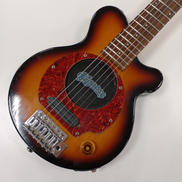 エレキギター|PIGNOSE