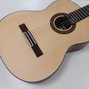 ARIA A-10|ARIA