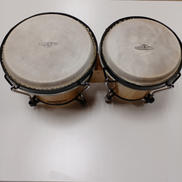 ボンゴ LP CP221|LP