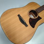 Ibanez AAD100-OPN|IBANEZ