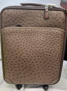 オーストリッチ|TAICHI