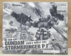 1/100 ガンダムストームブリンガー P.F.|BANDAI