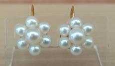 イヤリング|不明