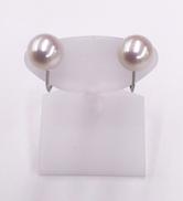 PT850イヤリング|PT850イヤリング