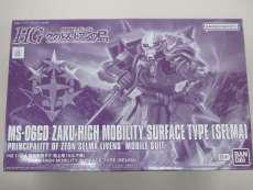 HG MS-06GD