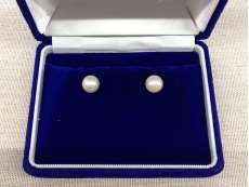 PT900イヤリング|-