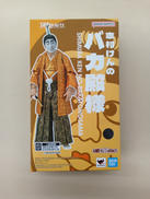 S.H.FIGUARTS|BANDAI