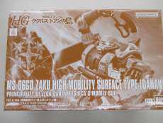 HG MS-06GD
