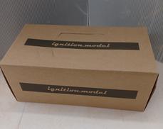 NISSAN SKYLINE 2000 GT-X GC110|IGNITION MODEL