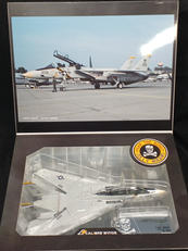 F-14A アメリカ海軍 第84戦闘飛行隊|CALIBRE WINGS