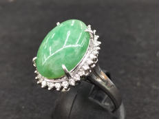 リング 19.5号|PT900