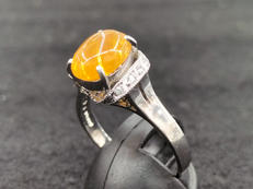 リング20号|PT900