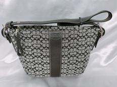 ミニシグネチャーポーチ|COACH