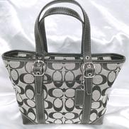 シグネチャーミニハンドバッグ|COACH