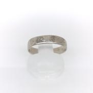 PT850リング　歪み有り|20250118