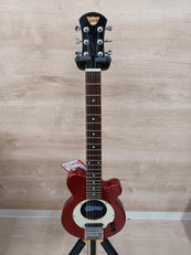 アンプ内蔵ギター|PIGNOSE