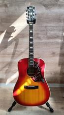 アコースティックギター|Jagard