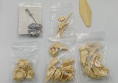 1/144 レッドミラージュ バビロンズ ガレージキット|WAVE