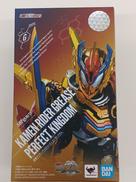 S.H.FIGUARTS 仮面ライダーグリスパーフェクトキン|BANDAI