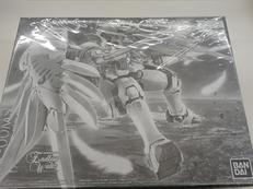 MG 1/100トルーギスF EW|BANDAI
