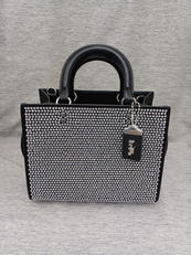 ローグ バッグ 25・クリスタル|COACH