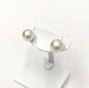 WGK14ピアス|-