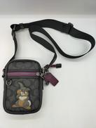 ショルダーバッグ(とんすけ)|COACH×DISNEY