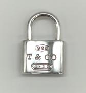 カデナ型ペンダントトップ|TIFFANY&CO.