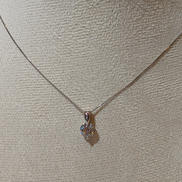 PT850/900ネックレス|2.4G 45CM