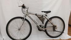 MOUNTAIN CAT MTB|PANASONIC