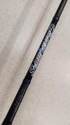 シーバスロッド|DAIWA