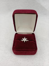 PT900ダイヤリング|-