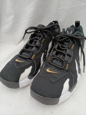 NIKE AIR DT MAX '96 LOW|NIKE